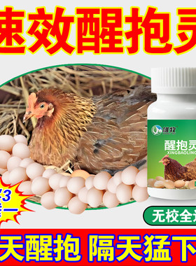 母鸡醒抱药速效醒抱灵不让鸡抱窝