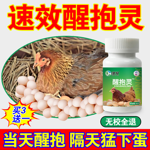 母鸡醒抱药速效醒抱灵不让母鸡抱窝药鸡抱窝醒鹅抱窝家禽不再恋窝