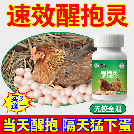 母鸡醒抱药速效醒抱灵不让母鸡抱窝药鸡抱窝醒鹅抱窝家禽不再恋窝
