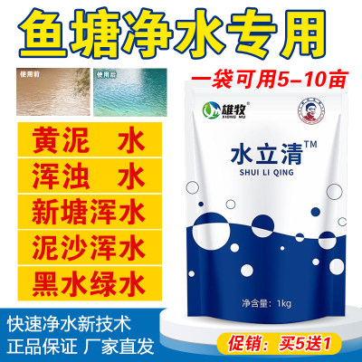 水立清浊水净池塘水质净化水变清