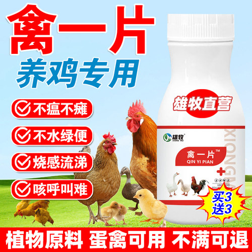 禽一片养鸡专用鸡鸭鹅药大全禽瘟