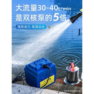 潜水泵家用抽水浇菜12v24v大功率花园便携式 充电式 户外抽水泵