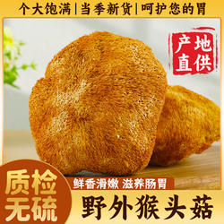 高品质长白山猴头菇干货新野外纯猴头菌营养无硫菌菇礼盒500g煲汤