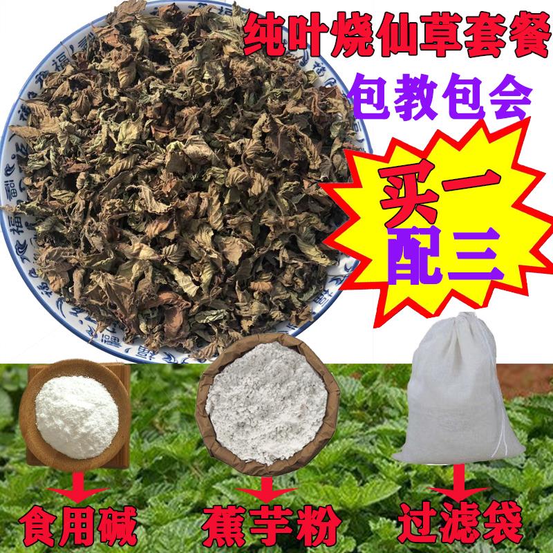 仙草叶烧仙草新鲜仙草干黑凉粉草仙草冻龟苓膏配料草粿仙人草