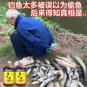 鱼啃石钓鱼小药野钓黑坑鲫鲤鱼专用钓鱼饵料诱鱼剂添加剂四季通用