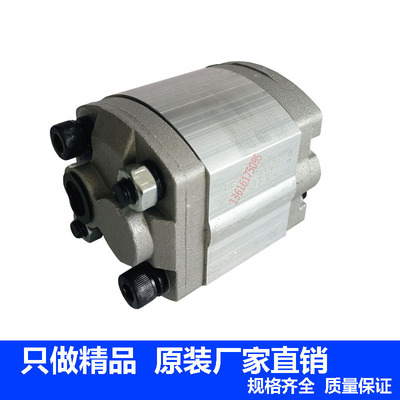 CBT-F202.1/202.6/F201.6/w203.2/F203.7/204.2/205.8齿轮油泵CBD