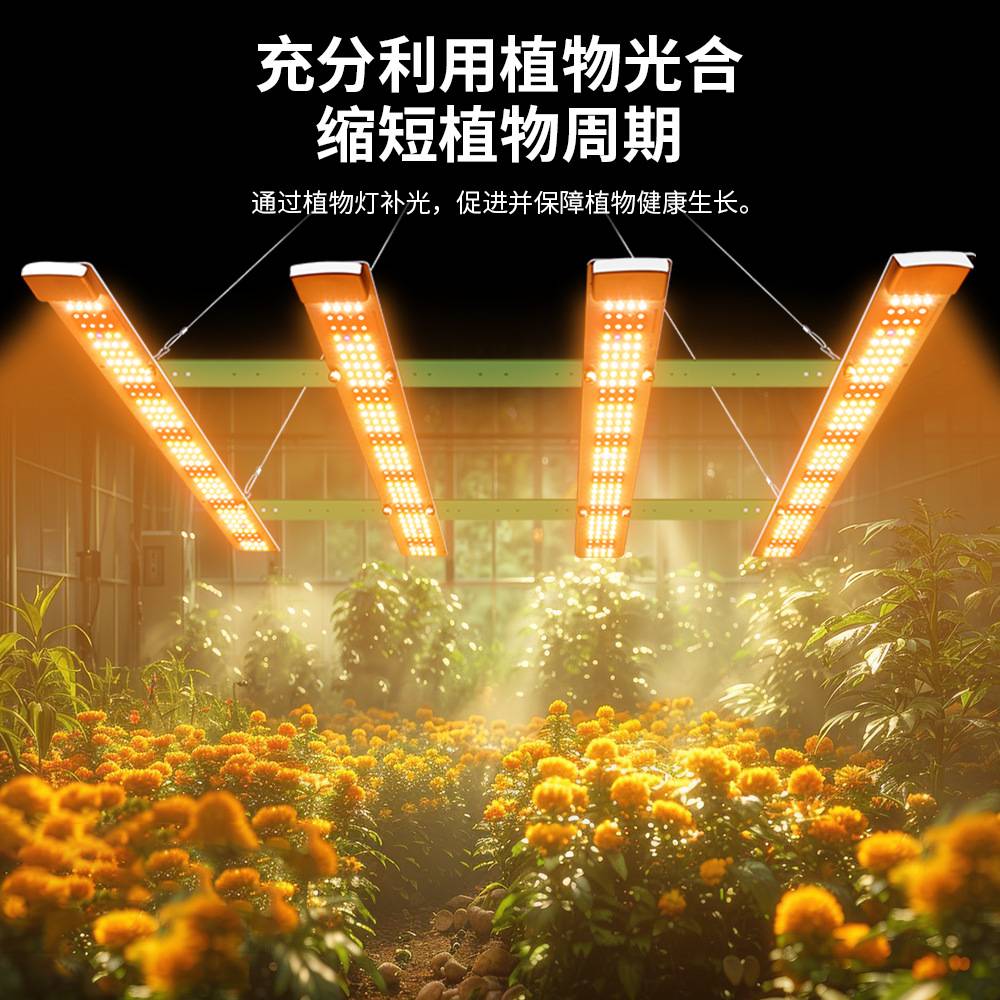 跨境热销LED植物生长灯室内大棚全光谱大功率种植灯KJ补光灯