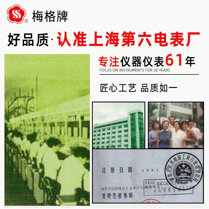 上海第六电表厂ZC29B-2地电阻仪C8地测阻表手摇电阻量ZC829梅接Z