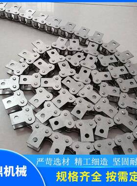 1厂家传动链节金属AAN非标长距挡板输送链条04336不锈钢链条
