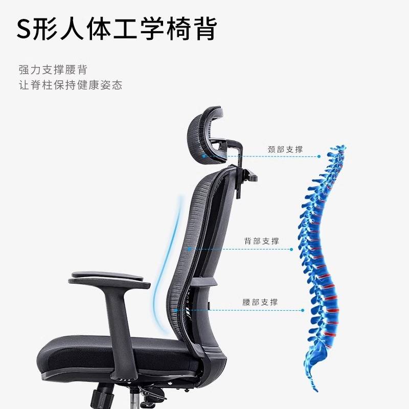 电脑椅家用舒适久坐人体工学椅午休办公座椅升降可躺书桌学习椅子