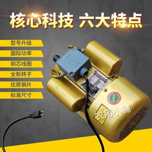 全铜异单相步电2机20v小型两项电动机家用大功率2.2 RLG3.3
