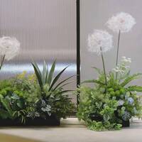 假小型仿真植物景觀蕨類把束物手景感花室仿真綠植內(nèi)觀角落櫥窗造