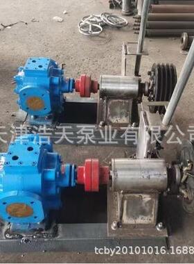 温高压齿轮泵TDG柴油沥青高胶水聚氨S酯稠油无品牌/粘油齿轮泵