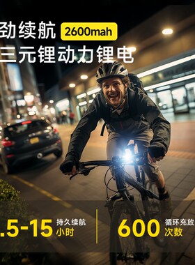LEM自行车夜骑灯山地车公路车前灯uFsb强光超亮充电防雨骑行装备