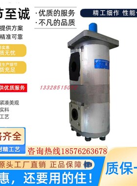 合肥长源齿轮泵CBNL-Fl563/F550/F540/F532/F525/520/16/10-BFH/P