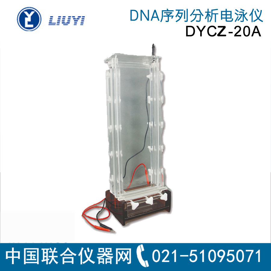 六一DYCZ-20DNA电泳仪含槽