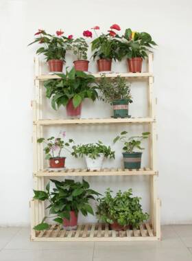 架子OCC实花木多层阳台肉室内可移动置物多绿植吊挂式架花盆架壁