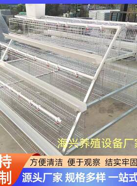 三层四层阶梯式笼蛋鸡A笼型鸡蛋配件鸡JMV养殖笼阶梯式蛋鸡笼子全