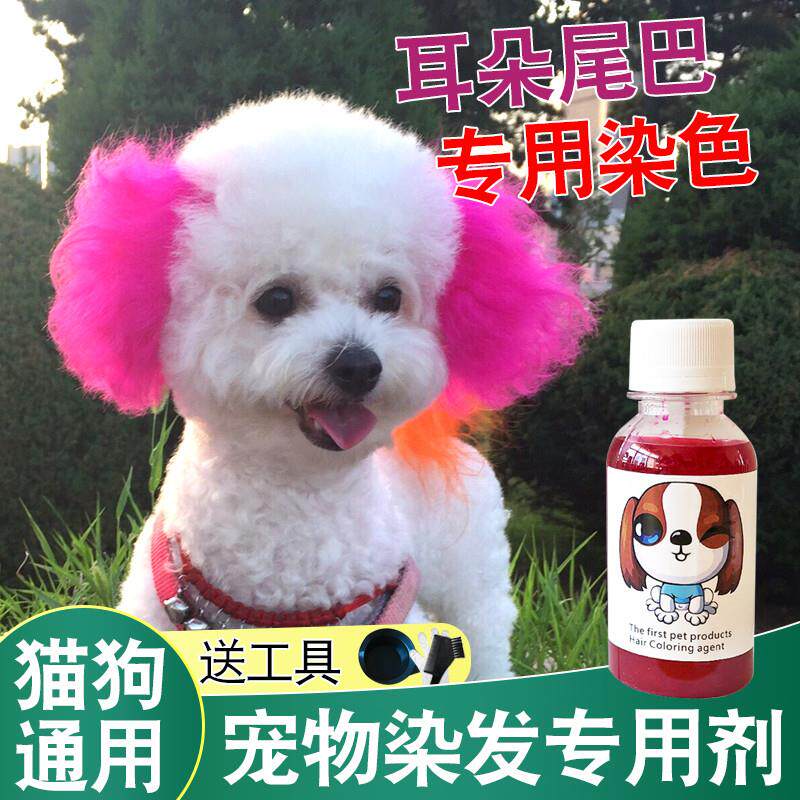 狗狗染发剂发宠物专用白色博美泰迪比熊染毛膏猫动物染色膏漂白剂