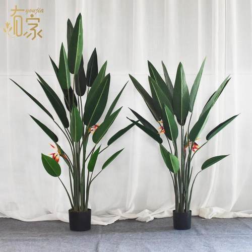 北真欧仿绿植YJ-0018盆栽型室内装饰堂摆件天大鸟盆景落地美人蕉
