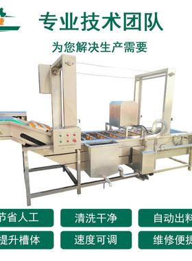 自动菜类蔬菜清全洗洗机 AYP食堂叶小型洗菜机 果蔬去农药残留清