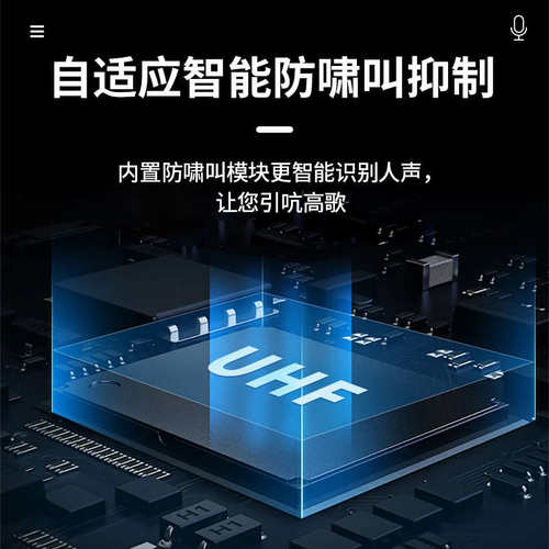 Depusheng DF206专业无线麦克风主持会议演出鹅颈话筒领夹防啸叫