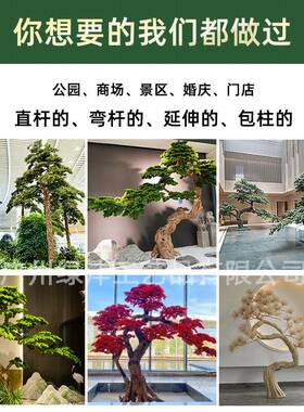 仿真迎客松树根雕造型树景观室内造景人造树假雪松树牙签松针松树