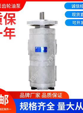 合肥长源液压双联齿轮油泵CBG2063/2040-BFPL 液压泵高压动力油泵