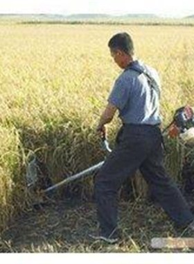 3马力 二冲程BC328侧挂式割草机/割灌机