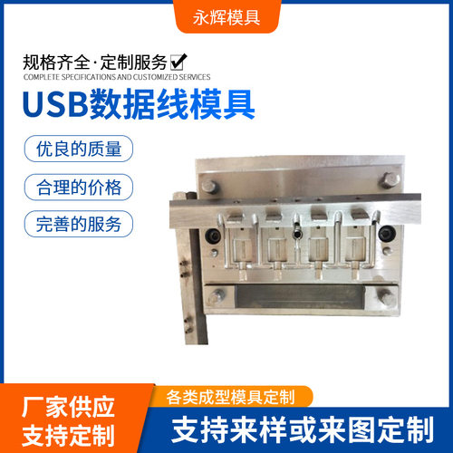 加工定制模具注塑立式成型精密模具 USB数据线模具 各类插头模具