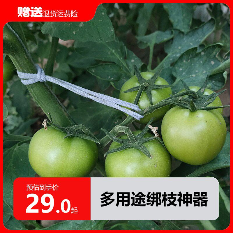 速发圈绑秧蔓枝神器西红柿吊穗绳子穗枝绳吊番茄西红柿吊果绑弹力