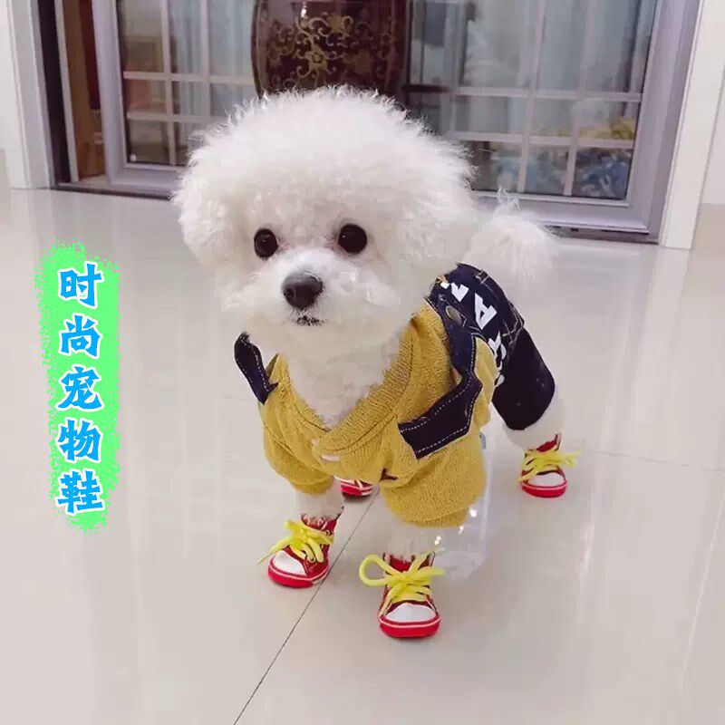 速发比熊鞋帆布鞋小子秋冬季冬天保暖鞋套软底不掉防脏防掉