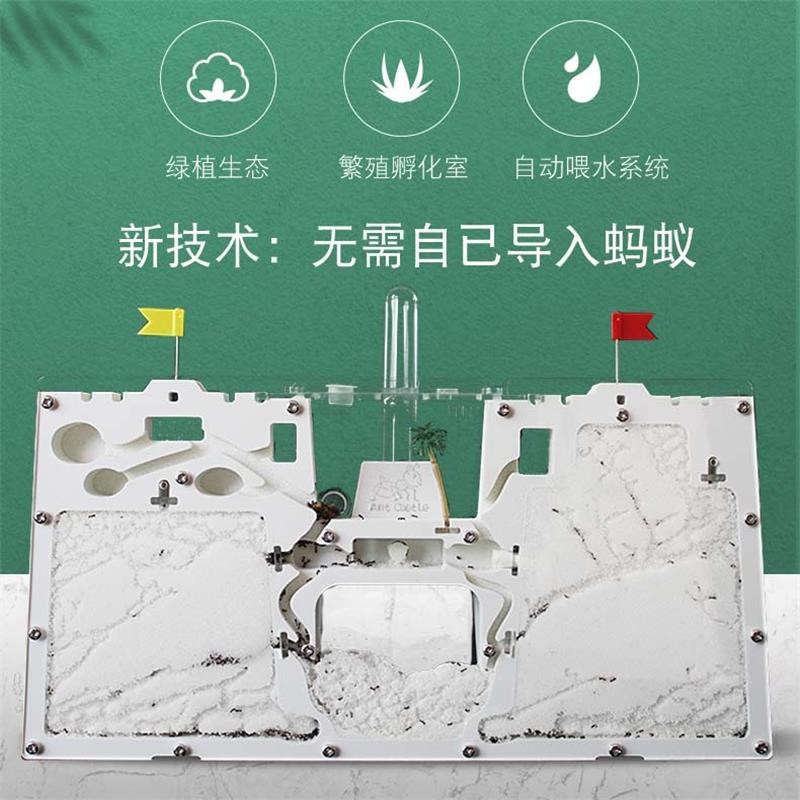 热销蚂蚁生态箱大型城堡超大家养宠物观察盒儿童宠物饲养蚂蚁窝巢