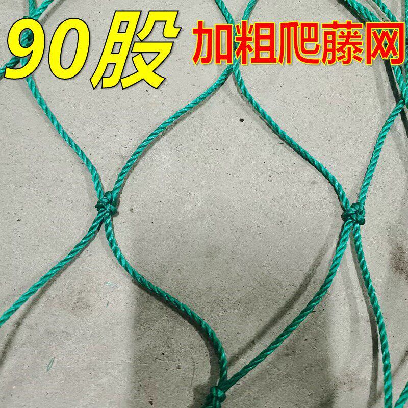 速发爬藤网植物花卉瓜果丝瓜吊瓜苦瓜南瓜葡萄豆角百香果爬藤网攀