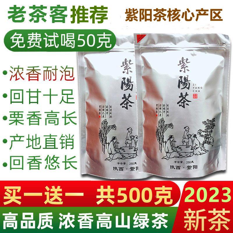 2023陕西安康紫阳富硒茶产区明前炒青绿茶毛尖陕青散装特一级茶叶