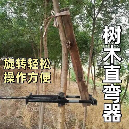 树木直树弯器拉直机加厚拉直器专用矫正树干器材双管纠正歪脖弧形