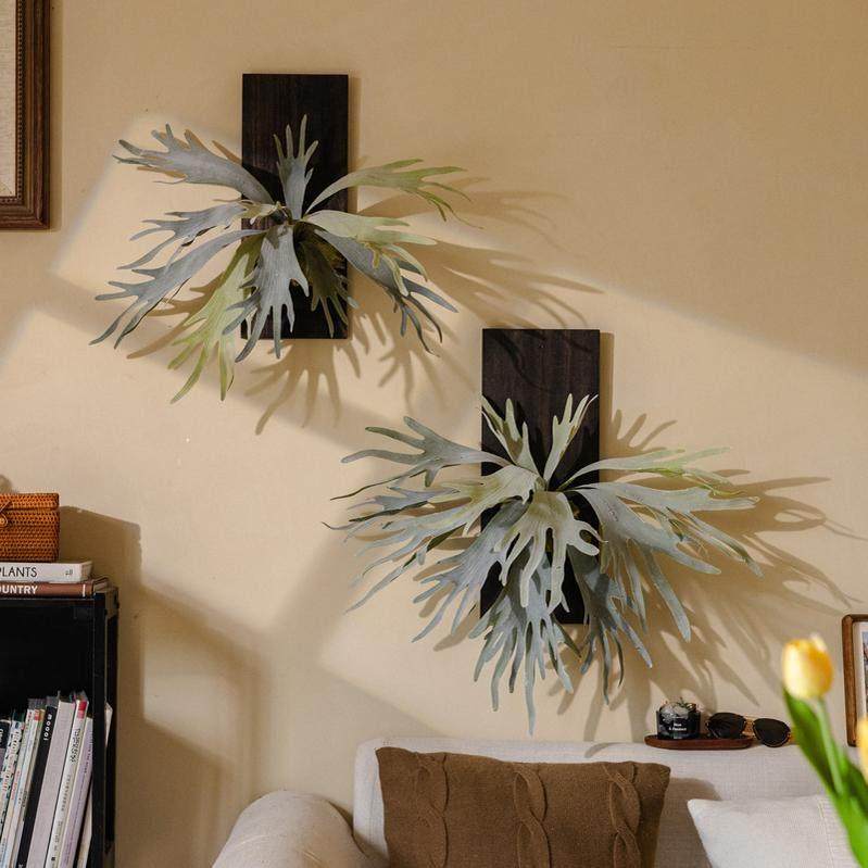 掬涵仿真鹿角蕨垂吊壁挂绿植室内墙饰客厅餐厅卧室工作室空间摆设,家居饰品,壁饰,淘宝优惠券,粉丝福利购,淘宝优惠卷