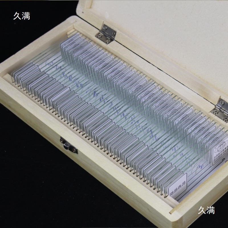 速发生物实验室切片装片人体四大组织神经/上皮/结缔/肌肉字母e上