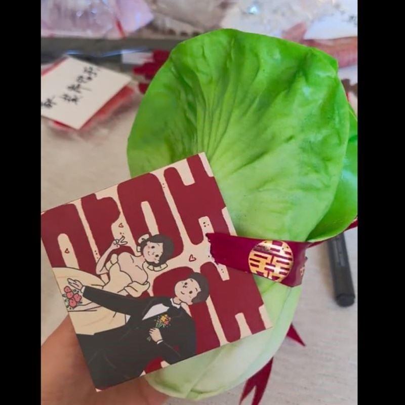 速发生菜玩偶手捧花婚礼生财花束柿柿如意菜狗新娘婚礼创意道具