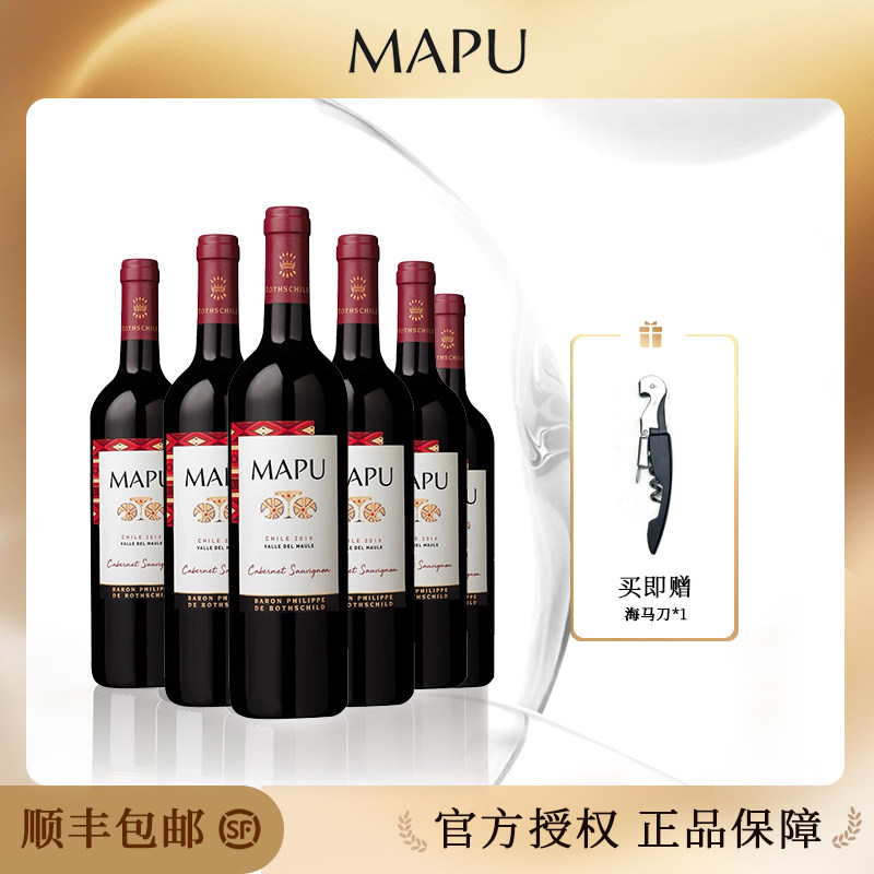 轩尼诗红酒智利原瓶大地赤霞珠干红葡萄酒6支装红酒整箱 顺丰包邮