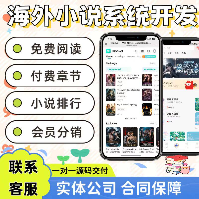 海外小说系统开发付费阅读广告对接分销系统定制H5源码搭建部署