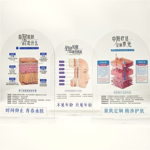 高颜值diy皮肤管理o美容院摆件皮肤屏障功能肌肤表皮结构代谢周期