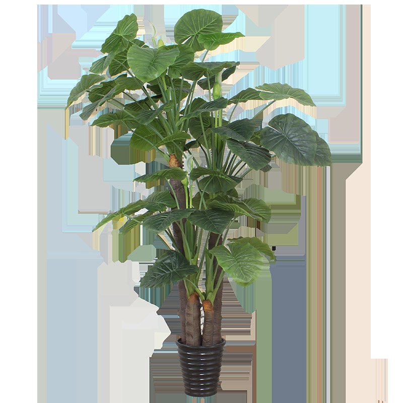 假树仿真树室内装饰滴水观音大型植物盆景客厅摆件假W绿植落地盆
