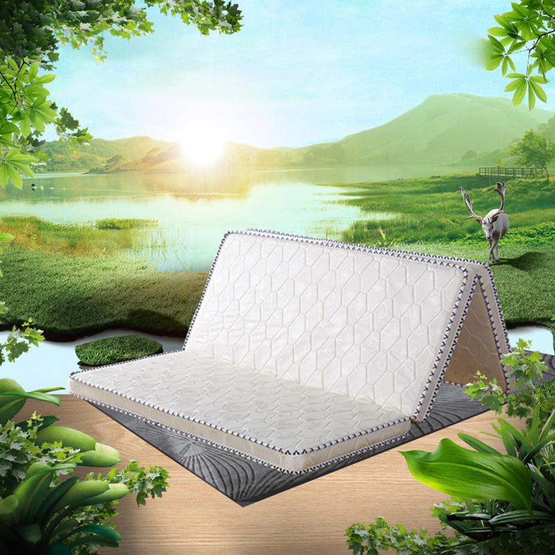 椰棕床垫硬垫家用打地舖1.8m1.5学生宿舍单人1.2米棕X榈垫子可折