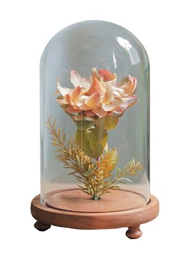 植物标本干花花艺摆件家居创意花瓶软装样板间书房橱W窗展示台陈