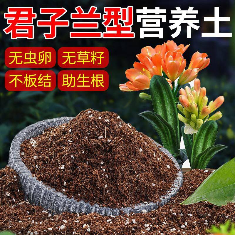 君子兰专用土盆栽有机腐叶松针泥炭土腐熟肥土养精营养兰花花土