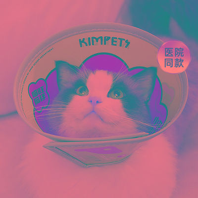 伊丽莎白圈猫绝育项圈防舔英短猫咪PU柔软脖圈颈圈头套狗宠物用