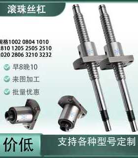 BSST/BSSR/BSSZ/BSSRK/BSSZK2806 3210 3232 2525 2020滚珠丝杠