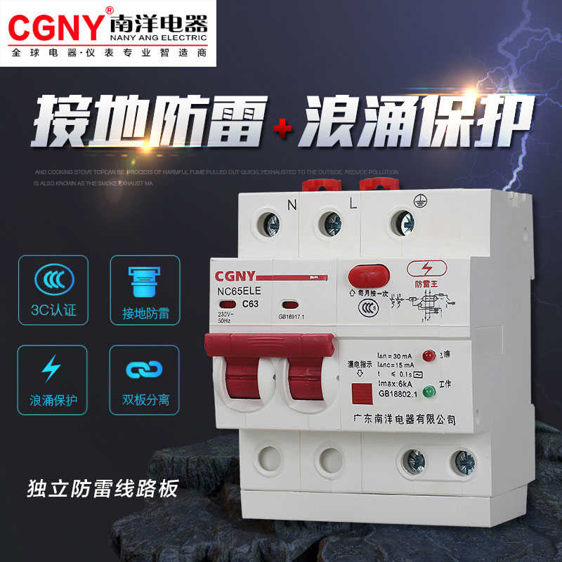 广东南洋电器漏电保护器家用总开关防雷浪涌电热水器断路器220V63