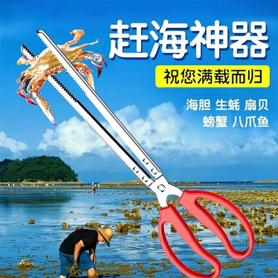 不锈钢黄鳝夹子鳝鱼泥鳅螃蟹钳子